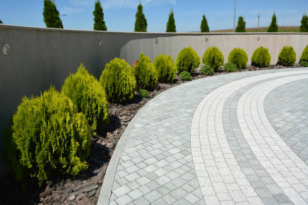 Best Decorative Driveway Pavers  in University Of Virginia, VA